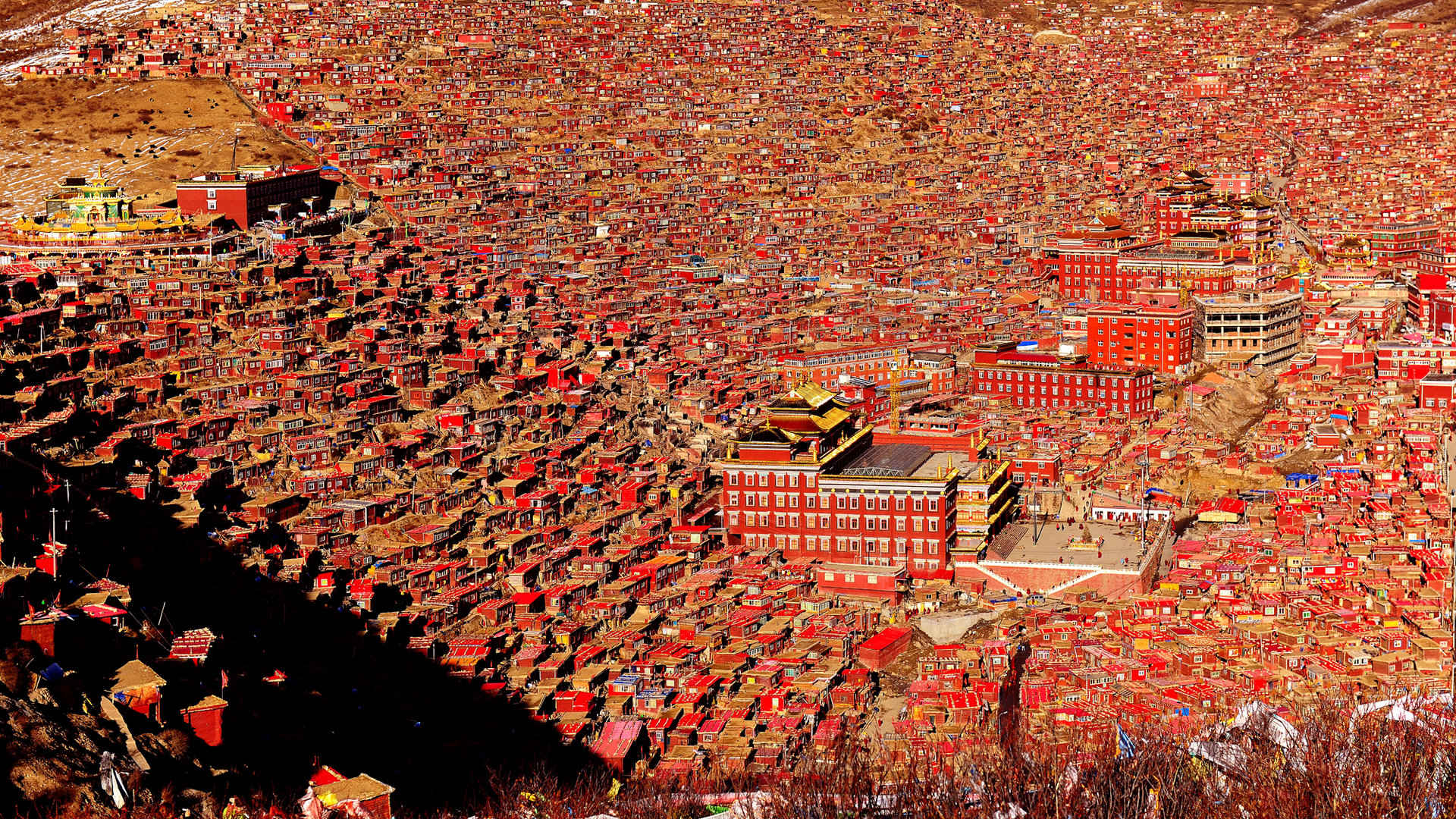 喇荣五明佛学院——色达 纪实 藏族 佛教 神圣 壮观|摄影|风光摄影|玛格鲁没 - 原创作品 - 站酷 (ZCOOL)