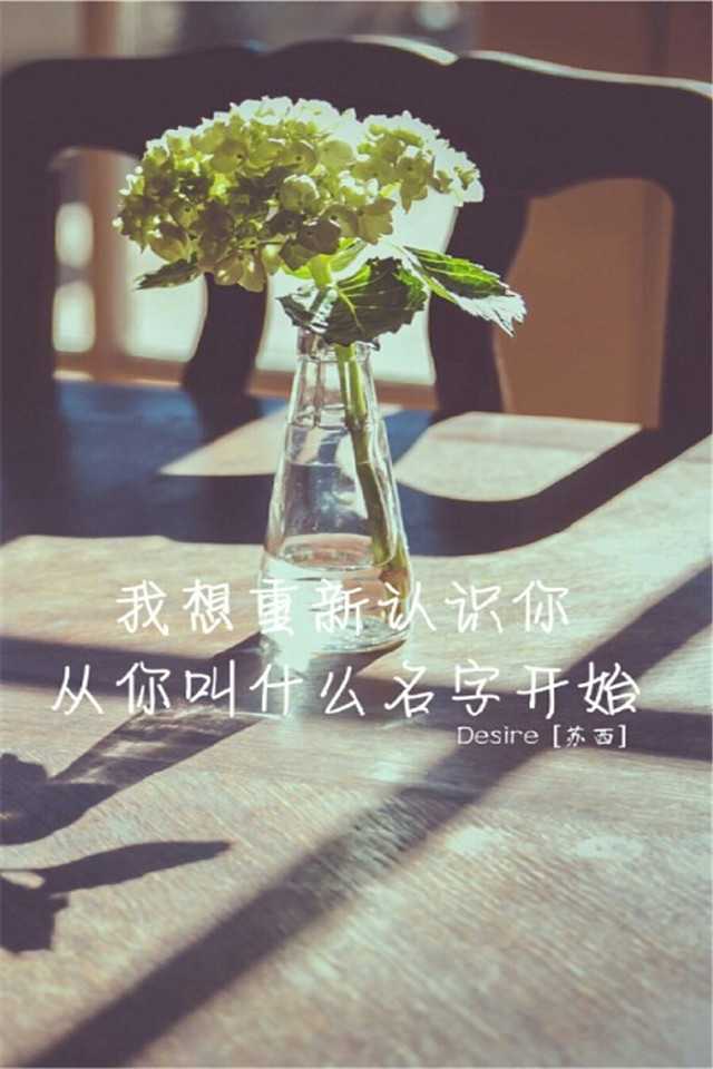 文艺新清文字控高清手机壁纸