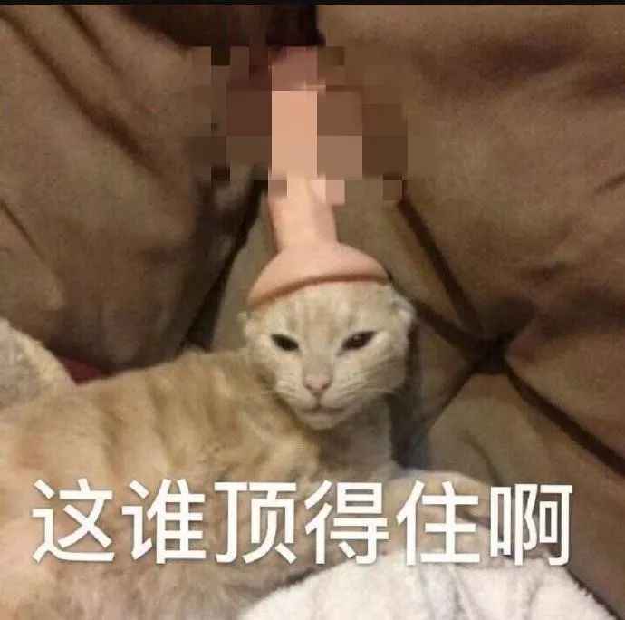 猫咪的妙用~