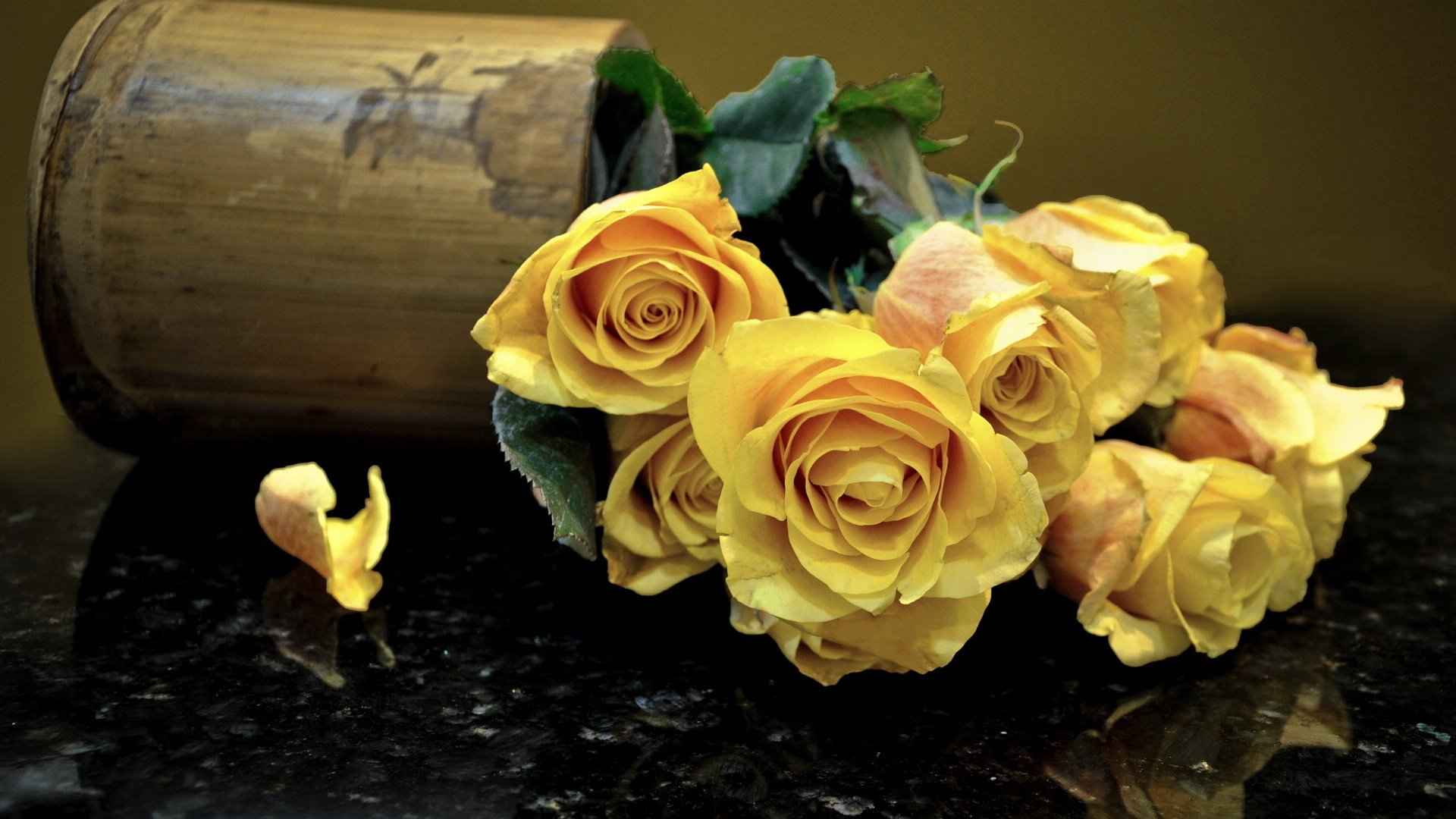 黄玫瑰花语桌面壁纸