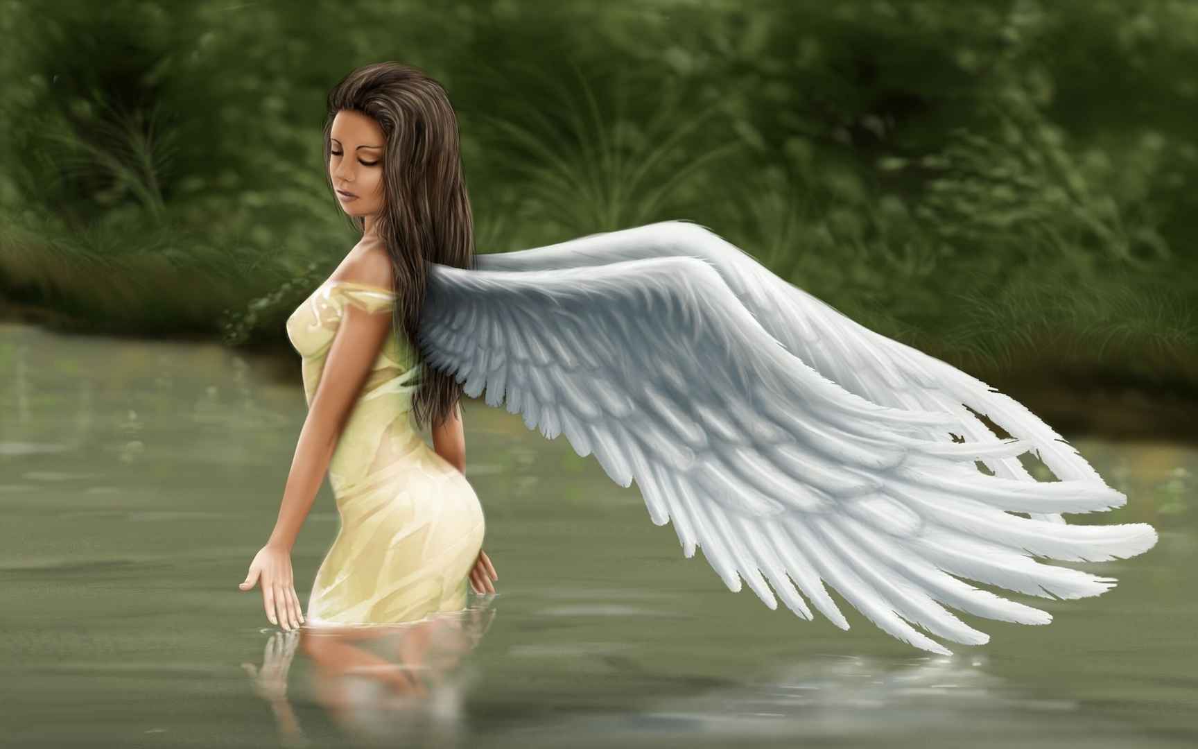 天使之翼漫画图片壁纸