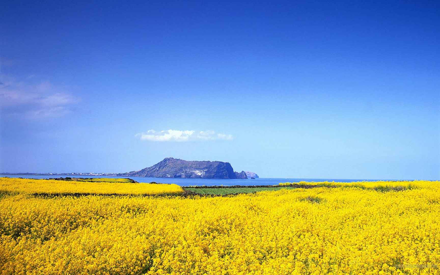 高清大屏自然风景壁纸