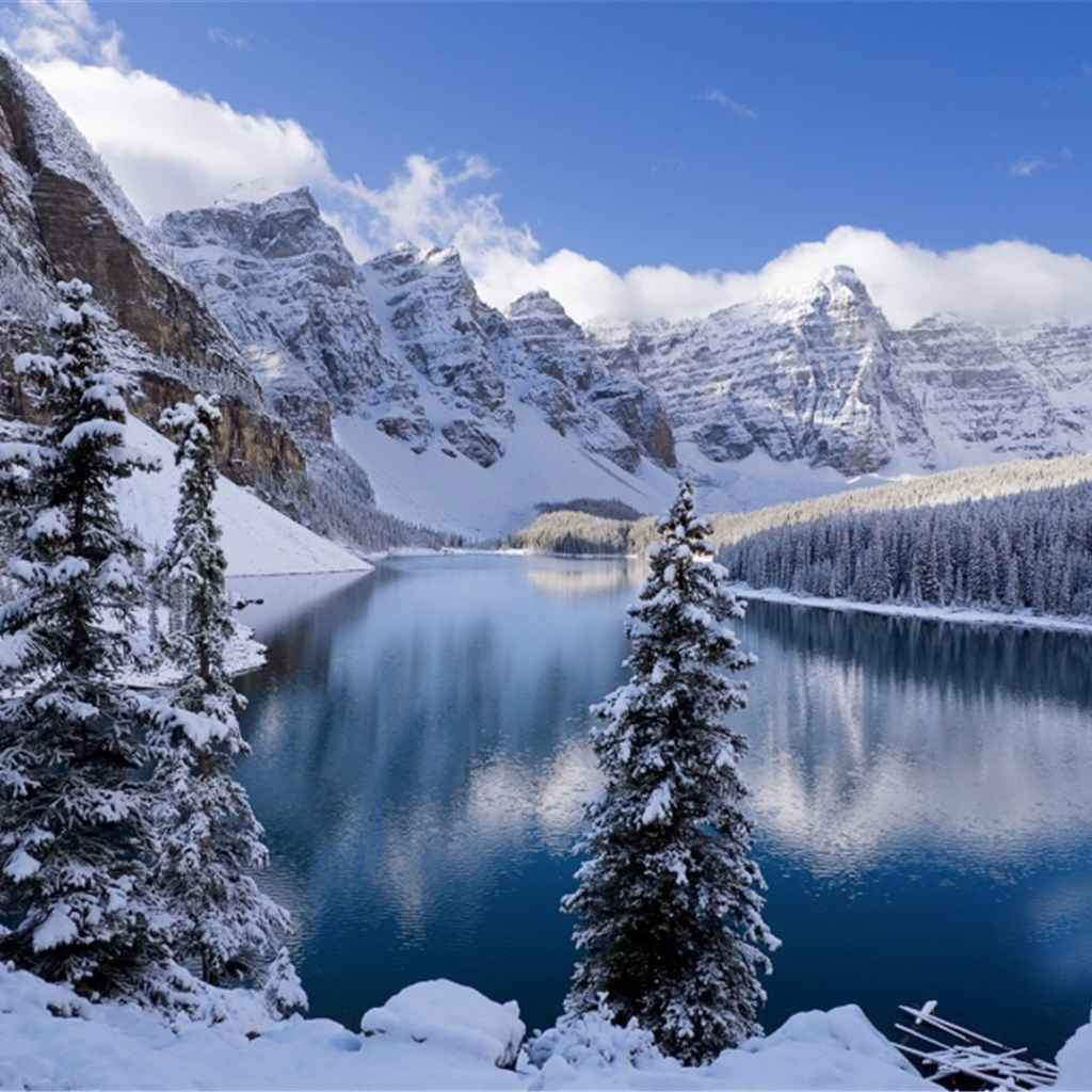 奇异冬日雪景唯美iPad平板壁纸