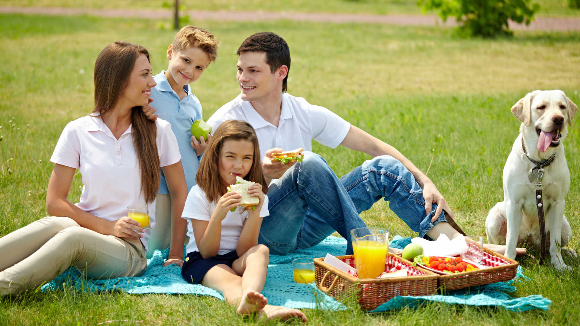 全家人户外野餐图片