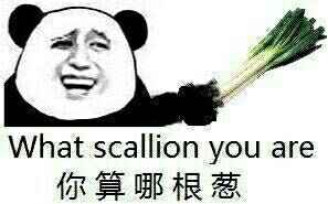 你算哪根葱 what scallion you are