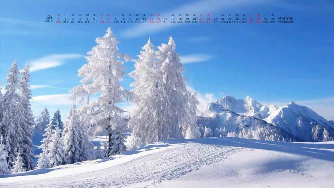 冬天里白雪皑皑风景桌面壁纸图片