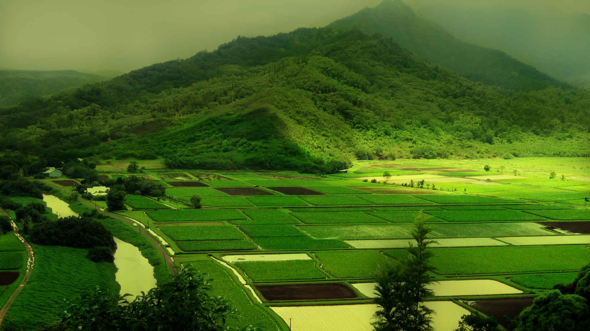 绿色养眼风景图片壁纸