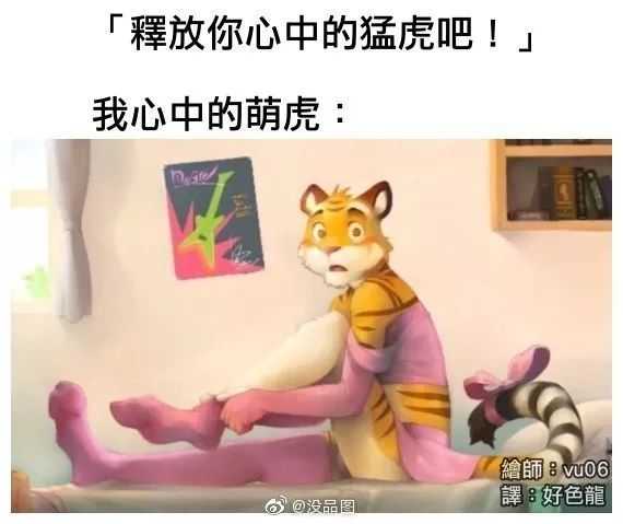 这就是我心中的猛虎…