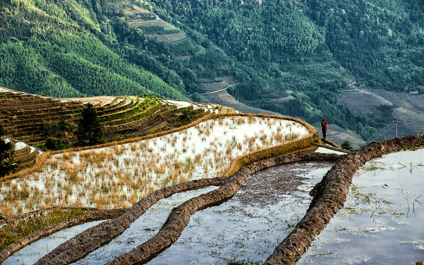 广西龙脊梯田风景图片