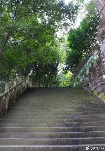 一日不健身，浑身难受