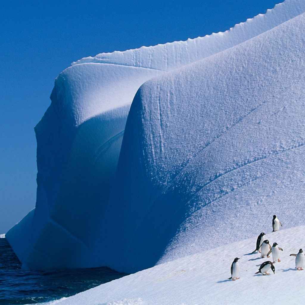 南极冰山冰凌图片iPad平板壁纸下载