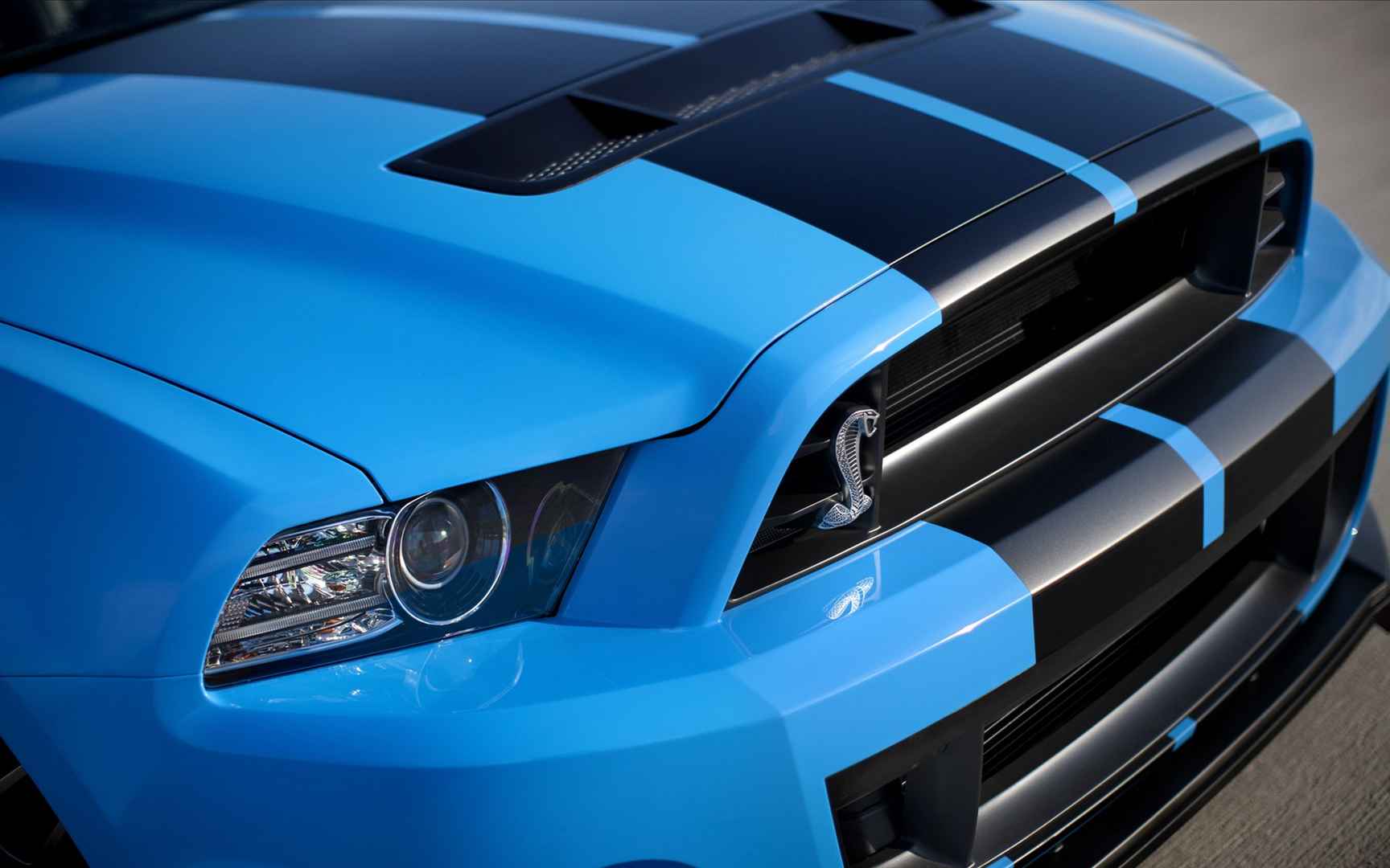 福特眼镜蛇 Ford Shelby GT500