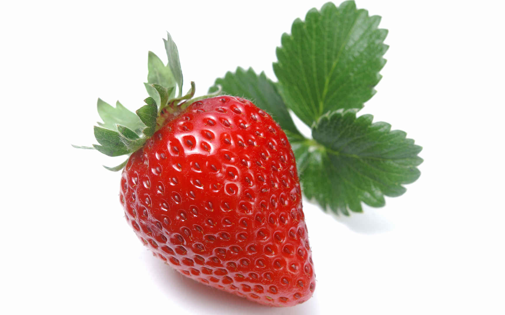 新鲜草莓 第一辑