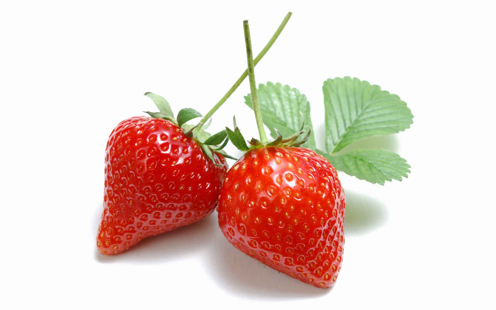新鲜草莓 第一辑
