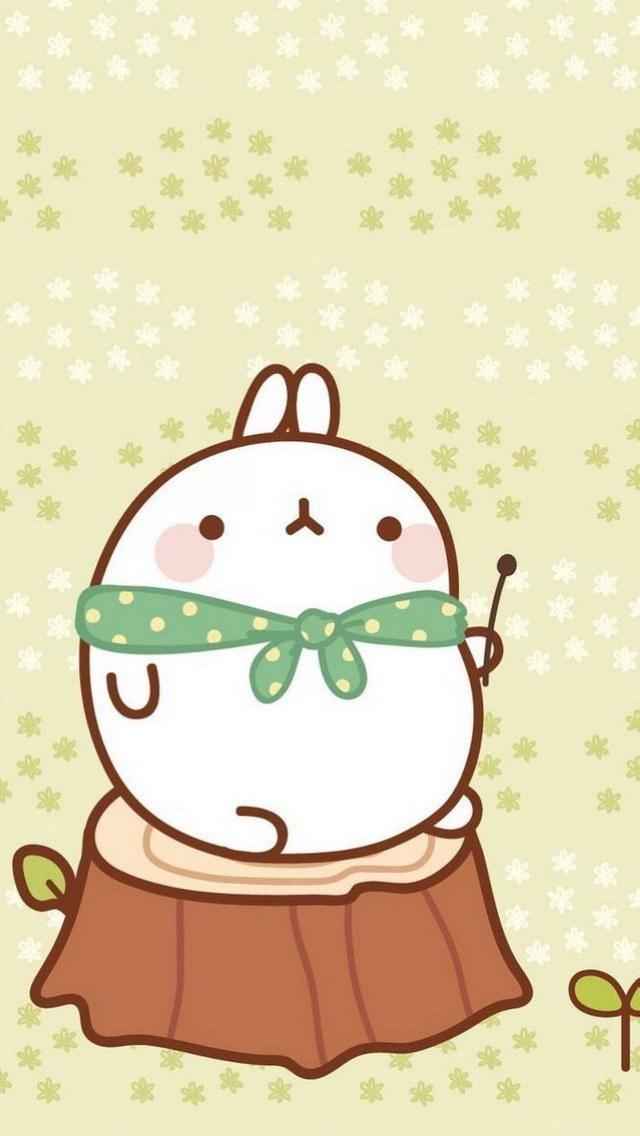 精选可爱胖兔Molang卡通iPhone 5手机壁纸