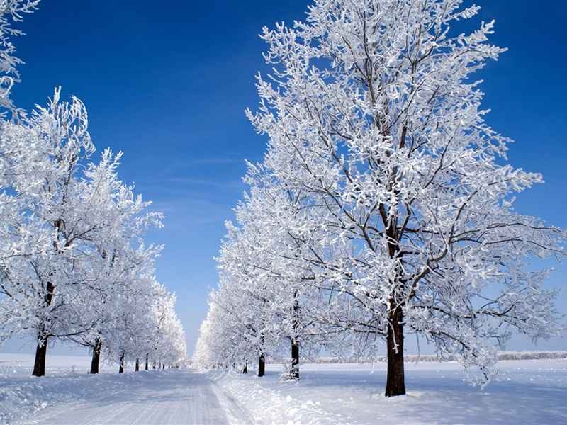 冬天唯美冰雪风景安卓平板壁纸