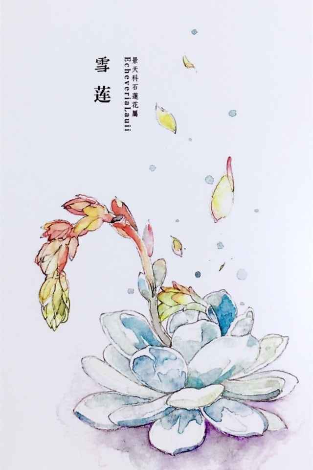 植物水彩艺术插画手机壁纸