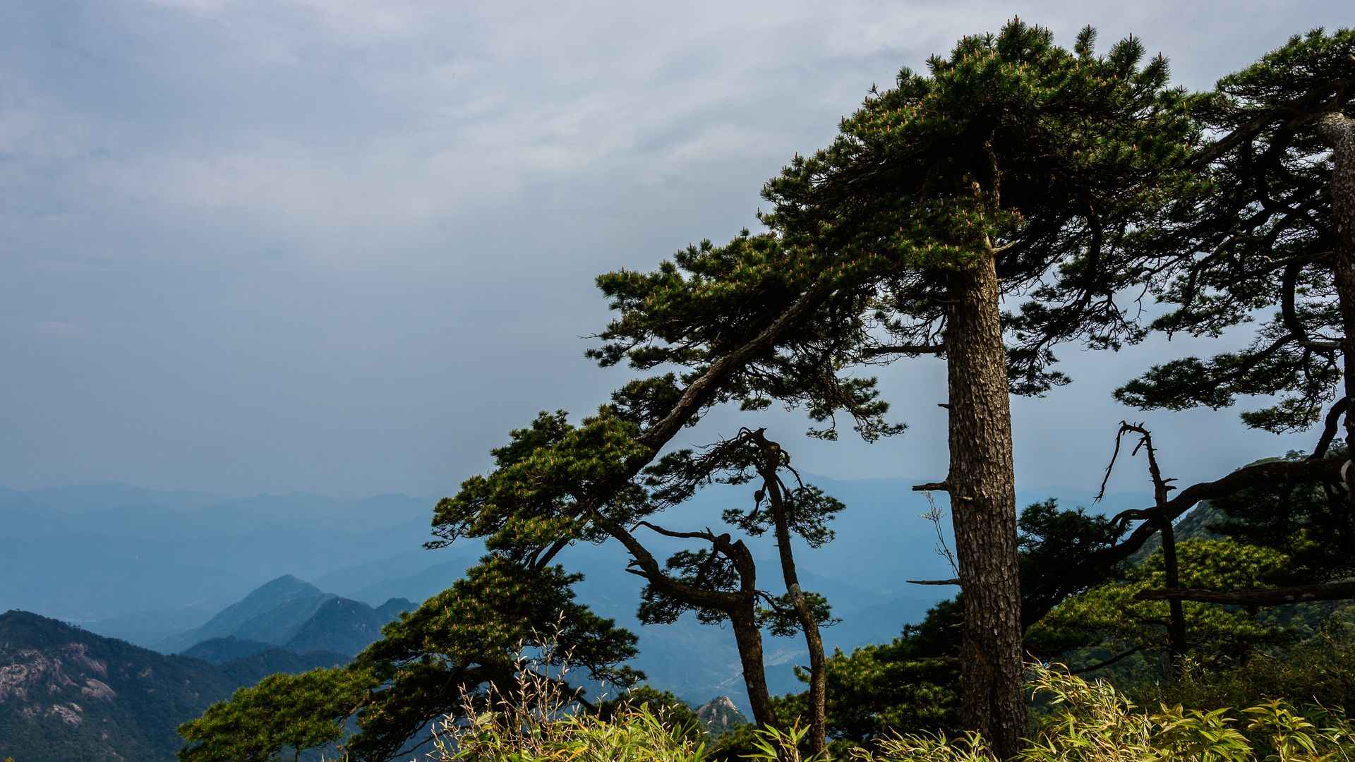 江西三清山优美风景图片