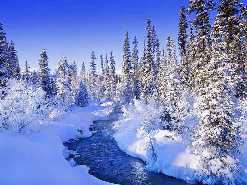 冬天纯白雪景自然风景ipad壁纸下载
