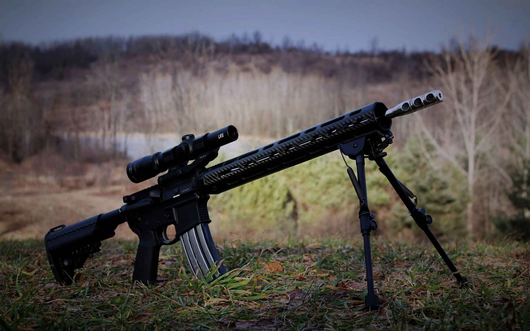 AR-15自动步枪图片