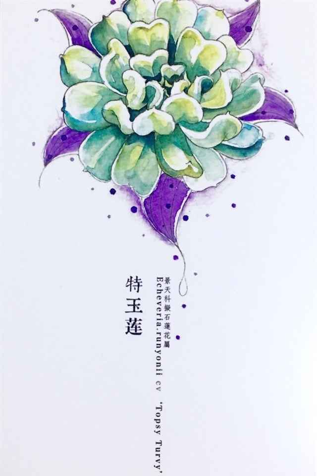 植物水彩艺术插画手机壁纸