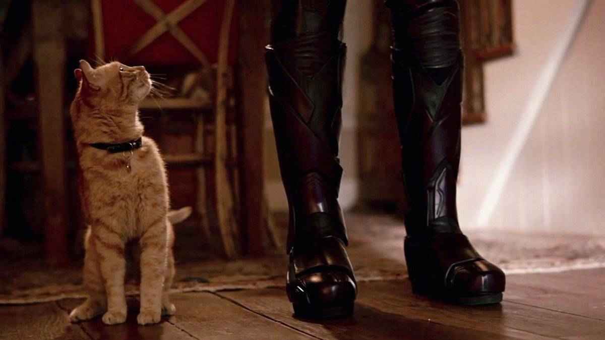 《惊奇队长》中人气最高的居然是它，原来猫猫真的是外星人！