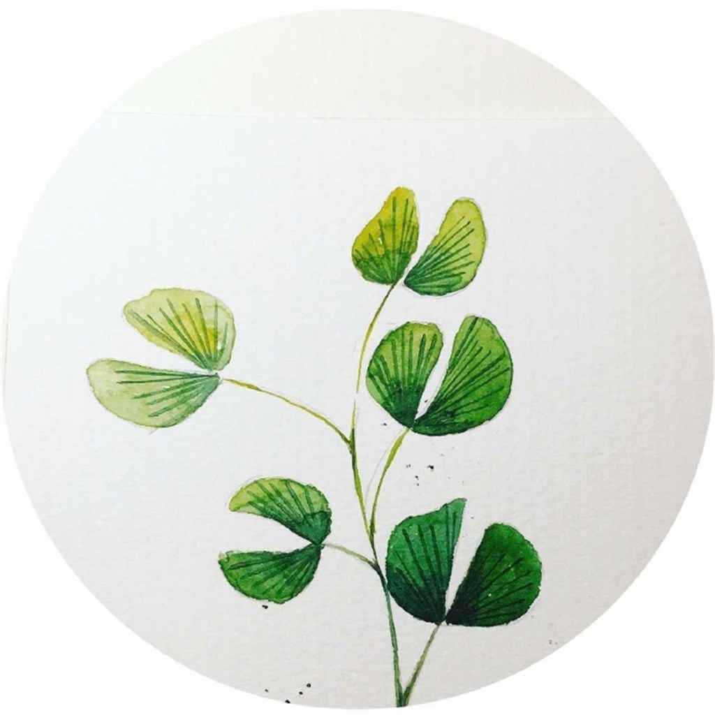 唯美绿色植物插画iPad平板壁纸