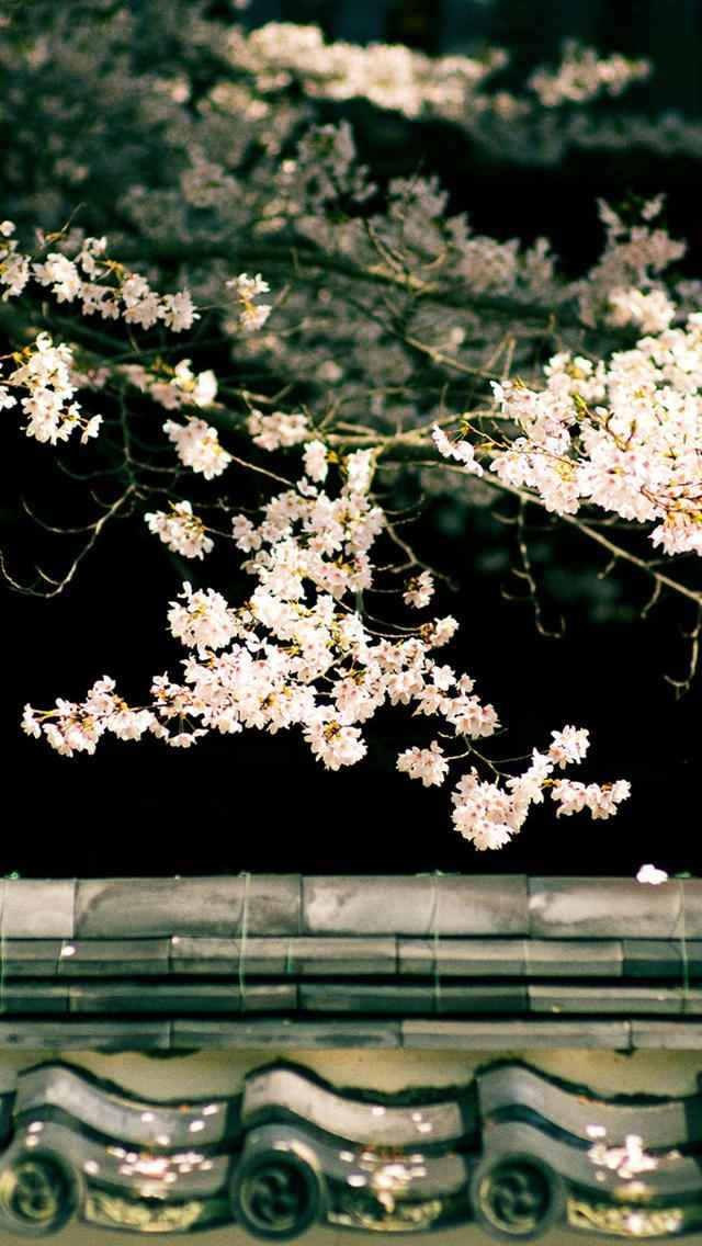 唯美新清的日式庭院风景手机壁纸高清下载