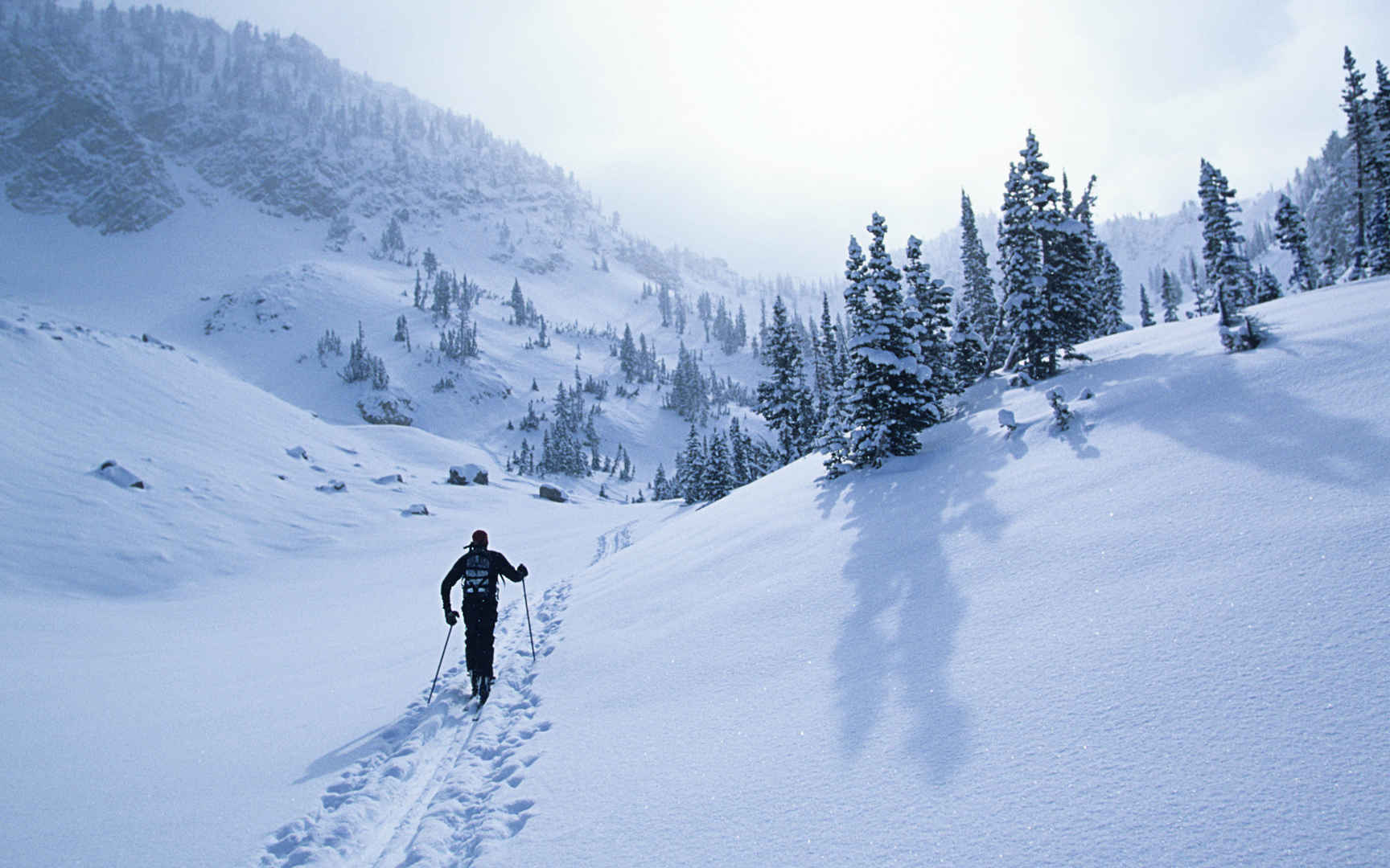 滑雪运动桌面壁纸