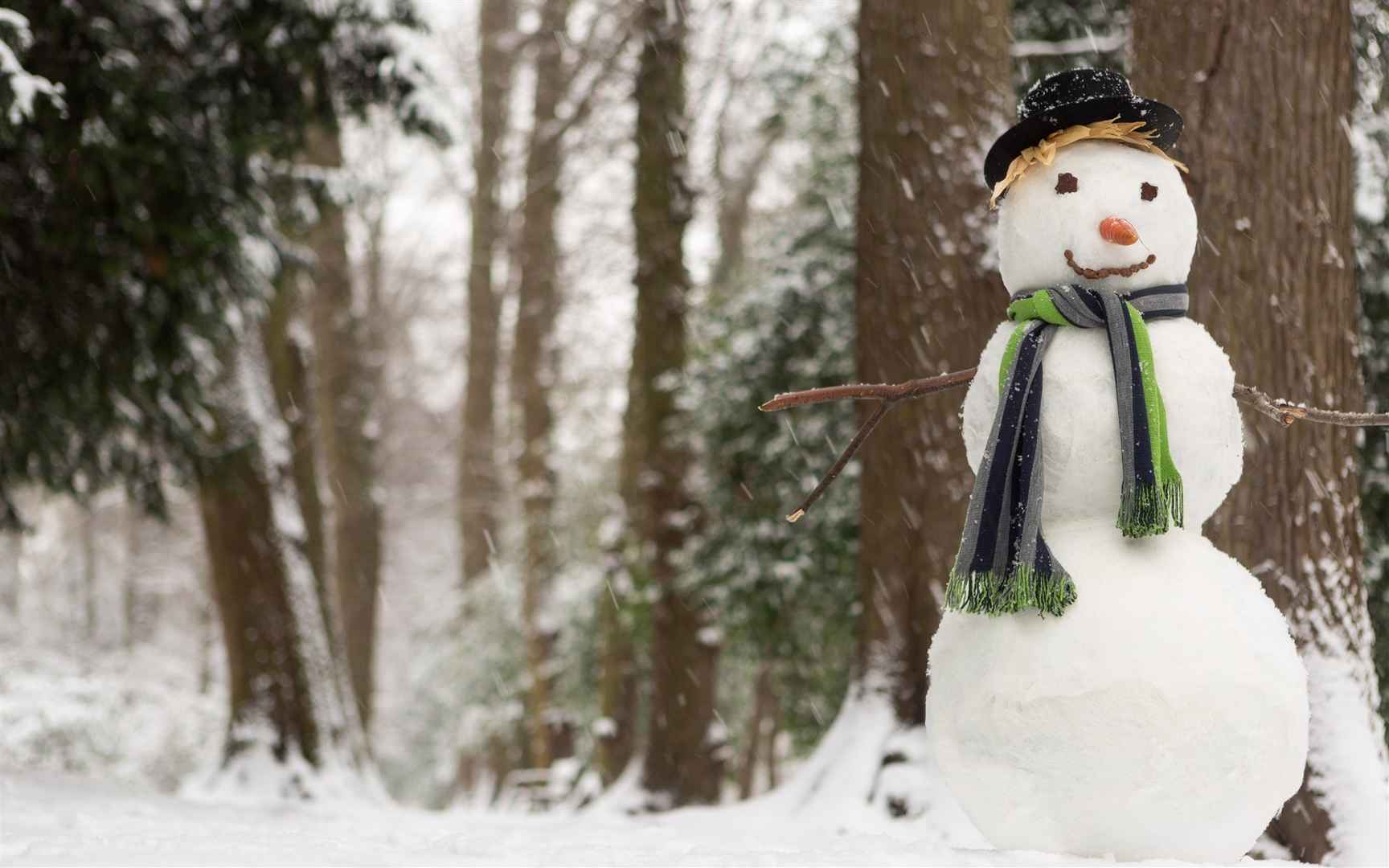 冬季雪人图片