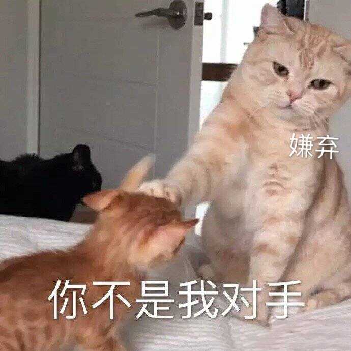 你不是我对手