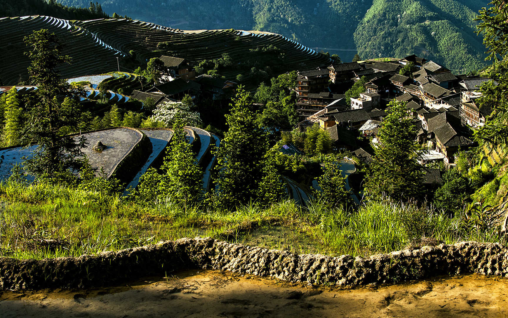 广西龙脊梯田风景图片