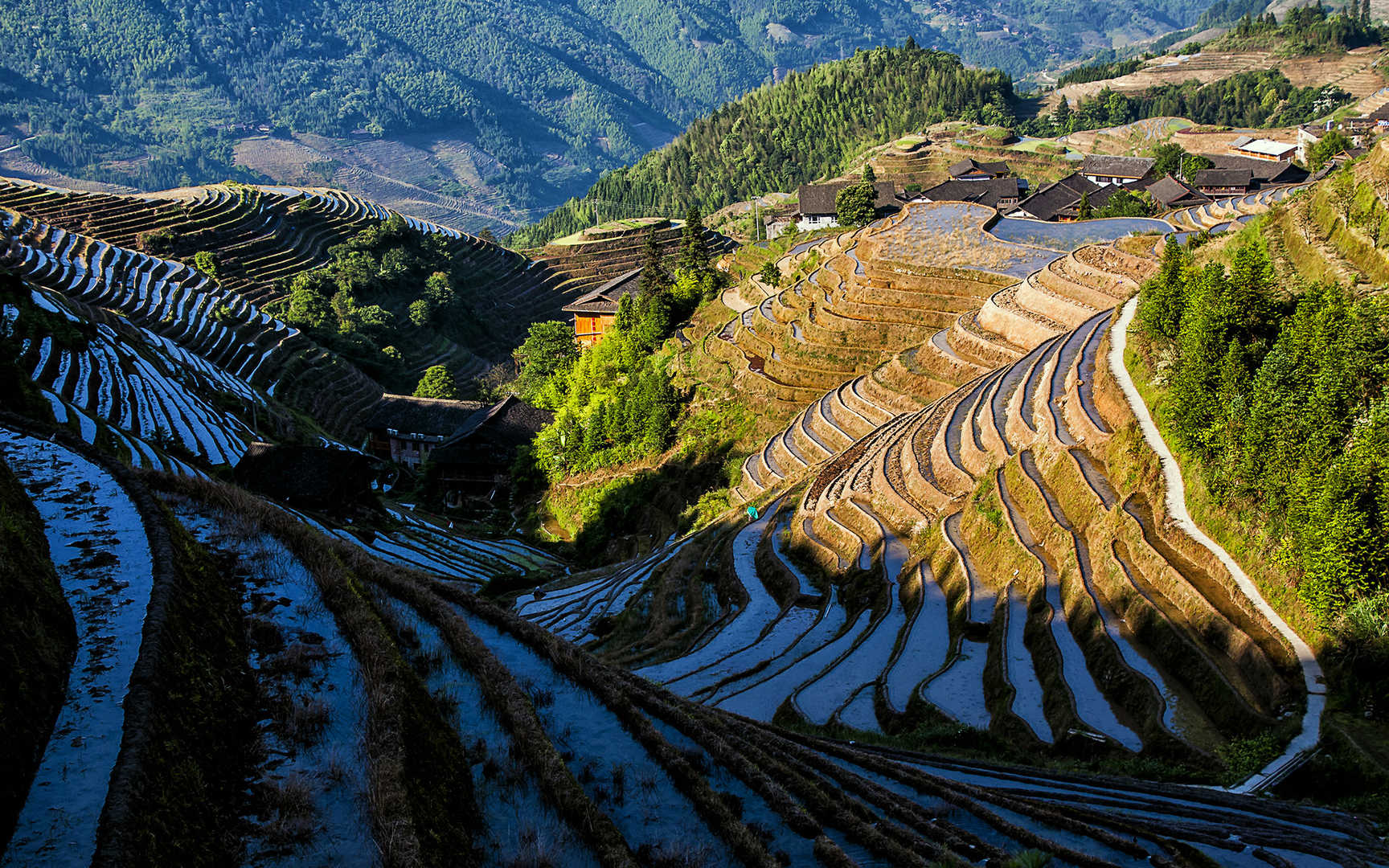 广西龙脊梯田风景图片