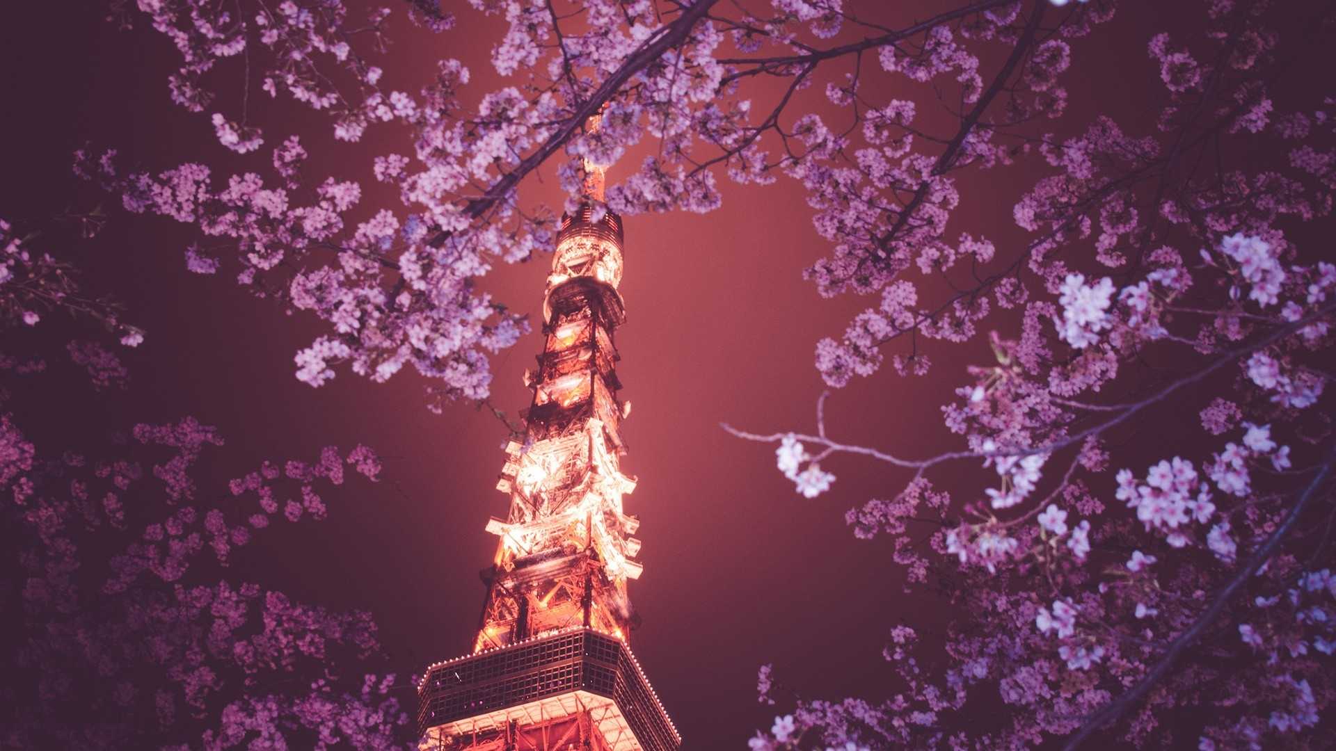 日本东京塔夜景图片