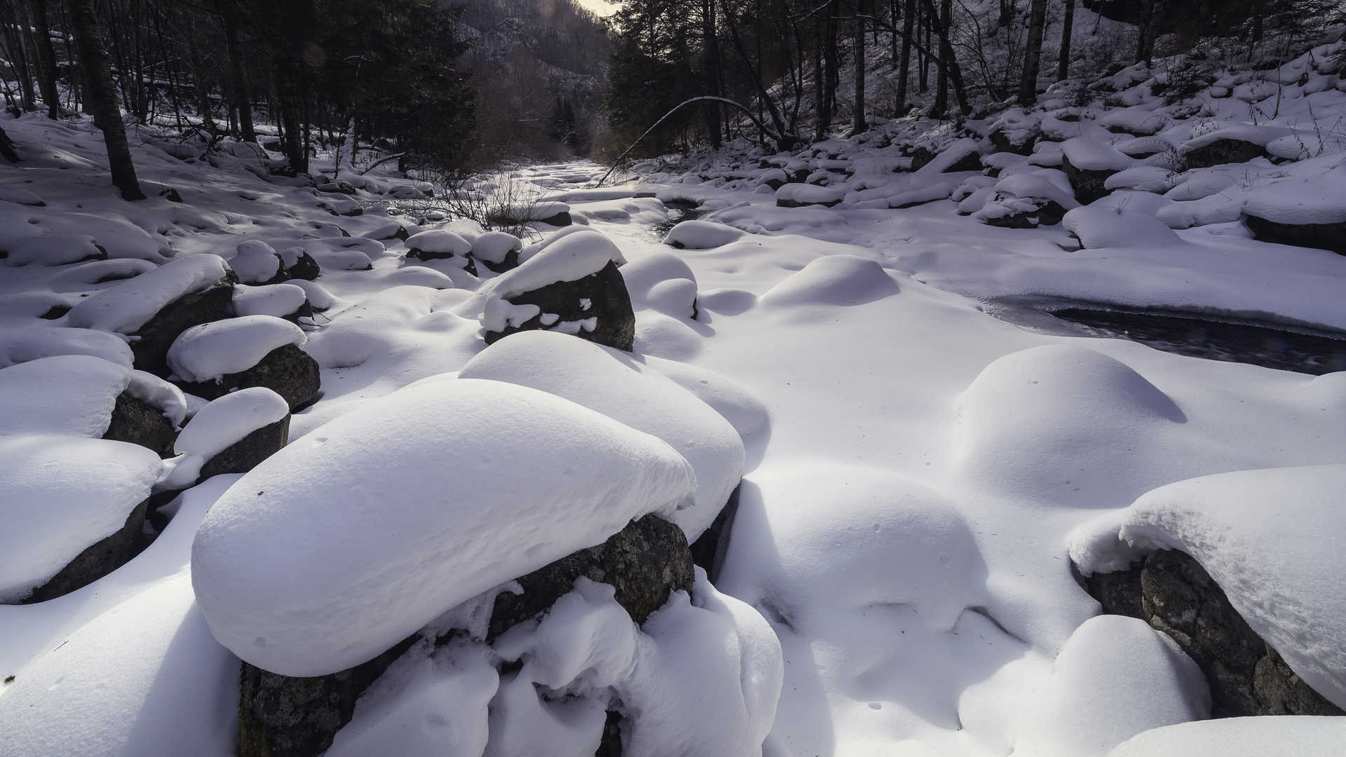 冬季雪景图片大全