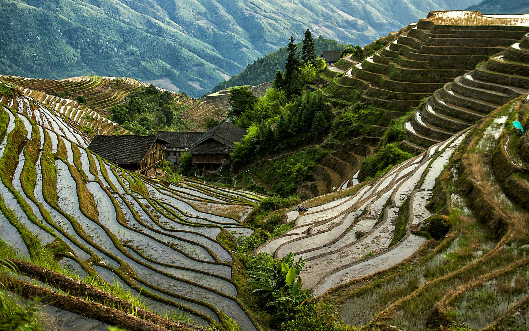 广西龙脊梯田风景图片