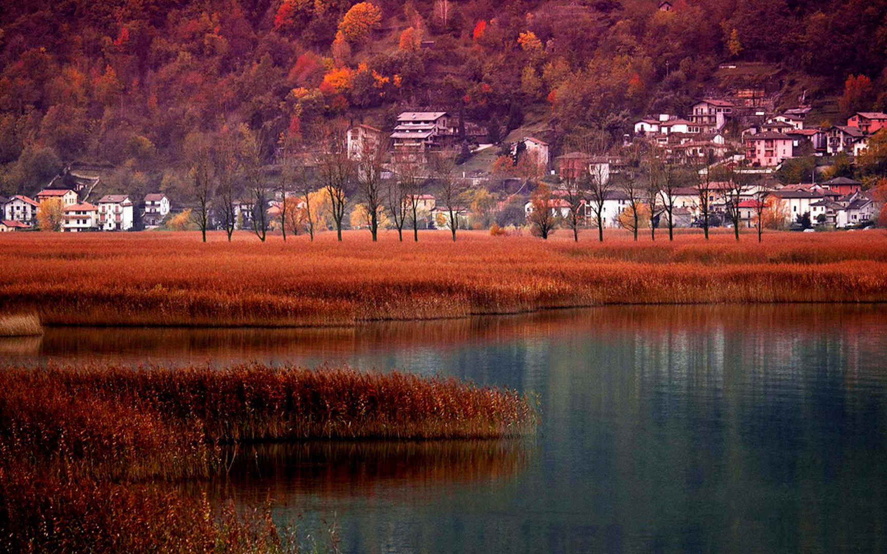 秋意浓浓的深秋风景