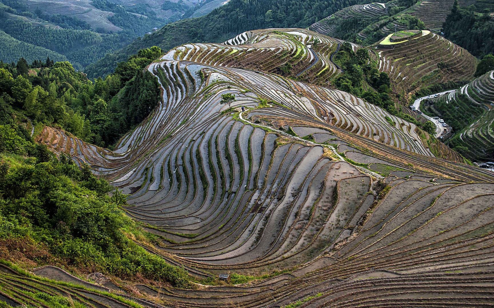 广西龙脊梯田风景图片