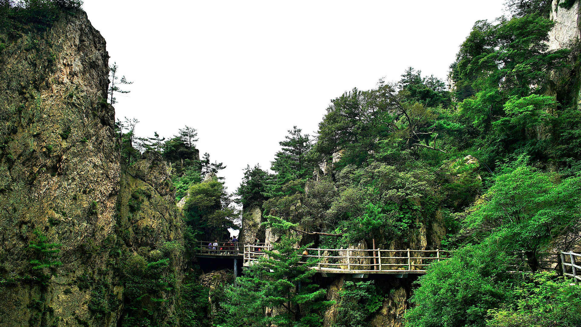 河南洛阳栾川老君山