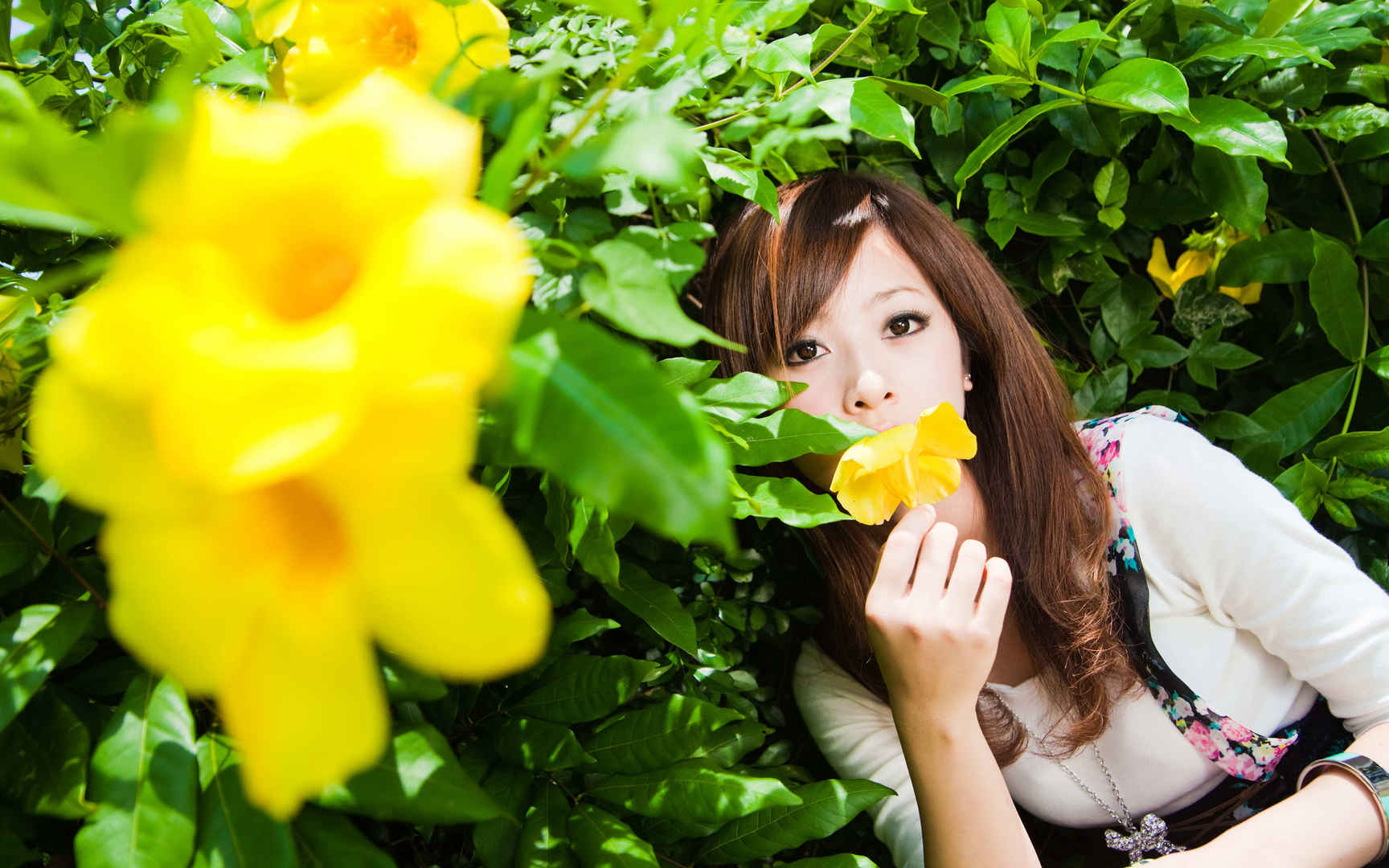 台湾果子MM花间精灵美图壁纸