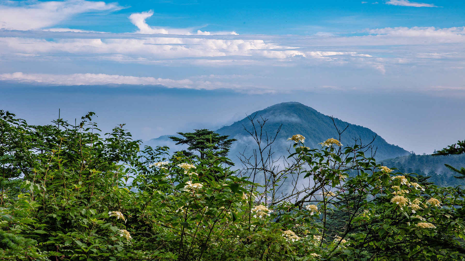 四川峨眉山风景图片