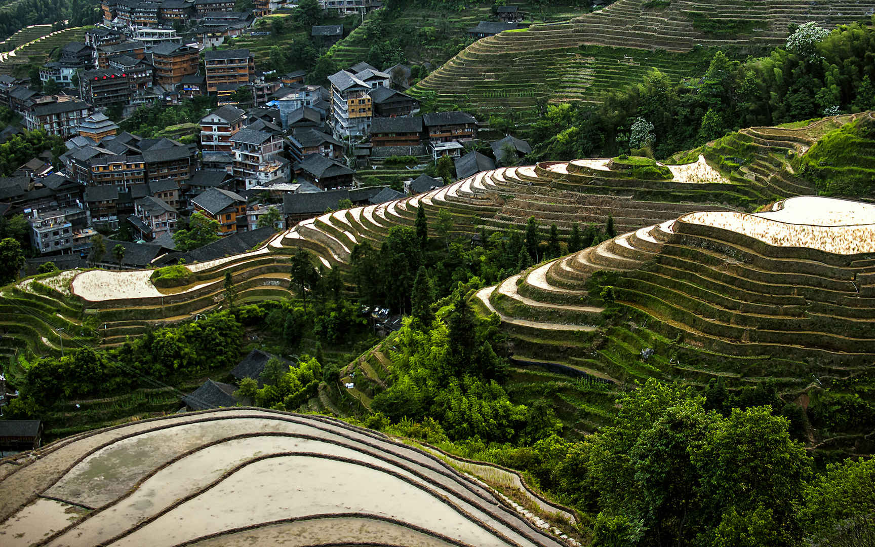 广西龙脊梯田风景图片