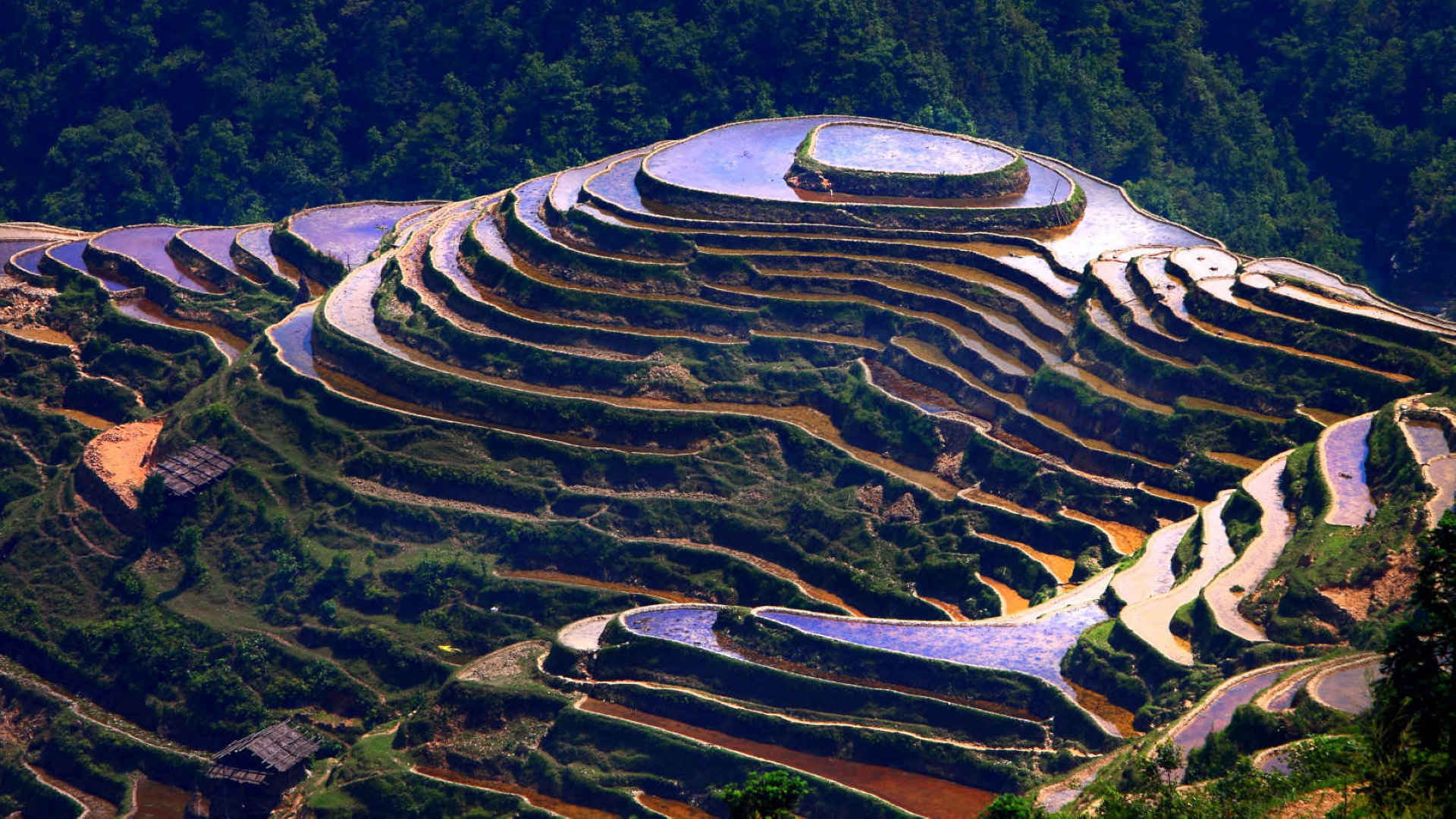 贵州加榜梯田图片