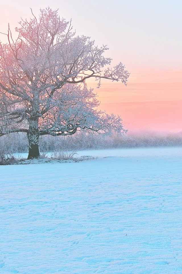 寒冷冬天冰雪美景高清图片合集手机壁纸第一辑