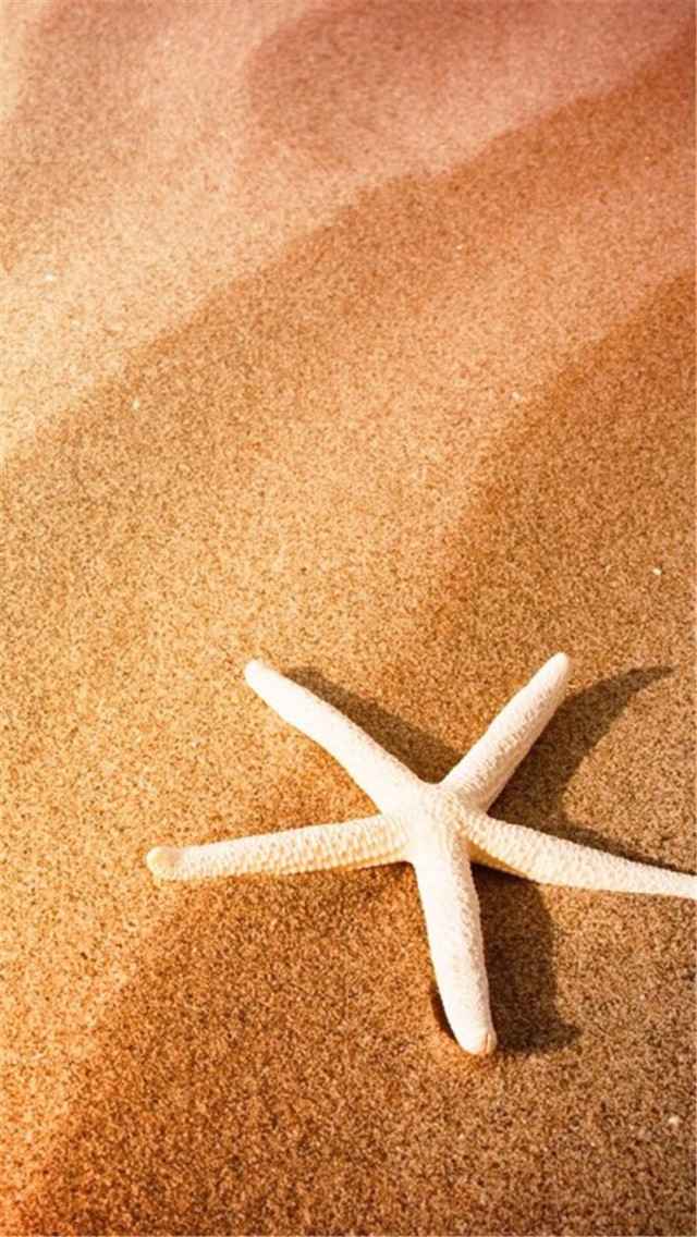 唯美小新清沙滩海王星高清手机壁纸