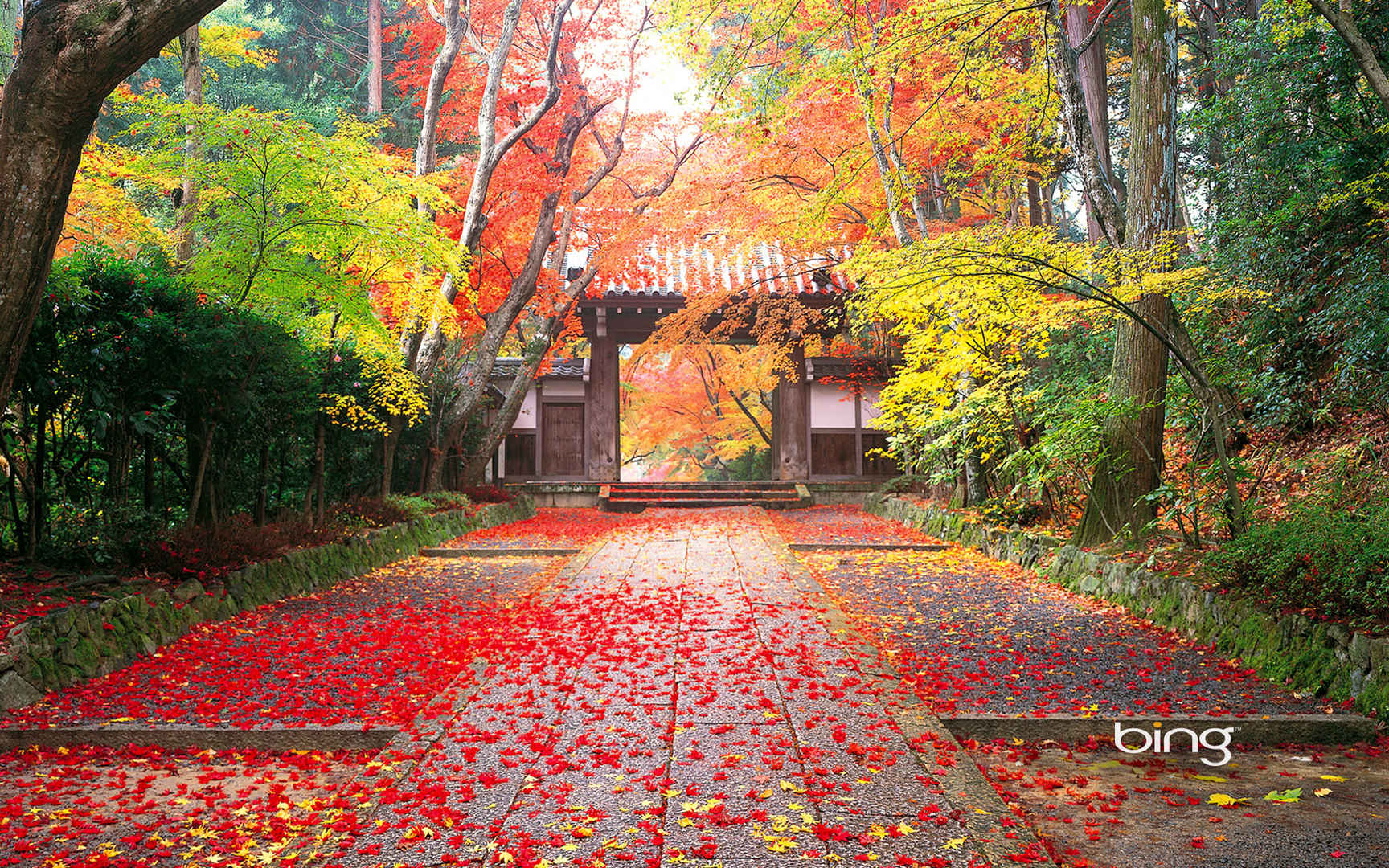 Bing日本风景主题壁纸