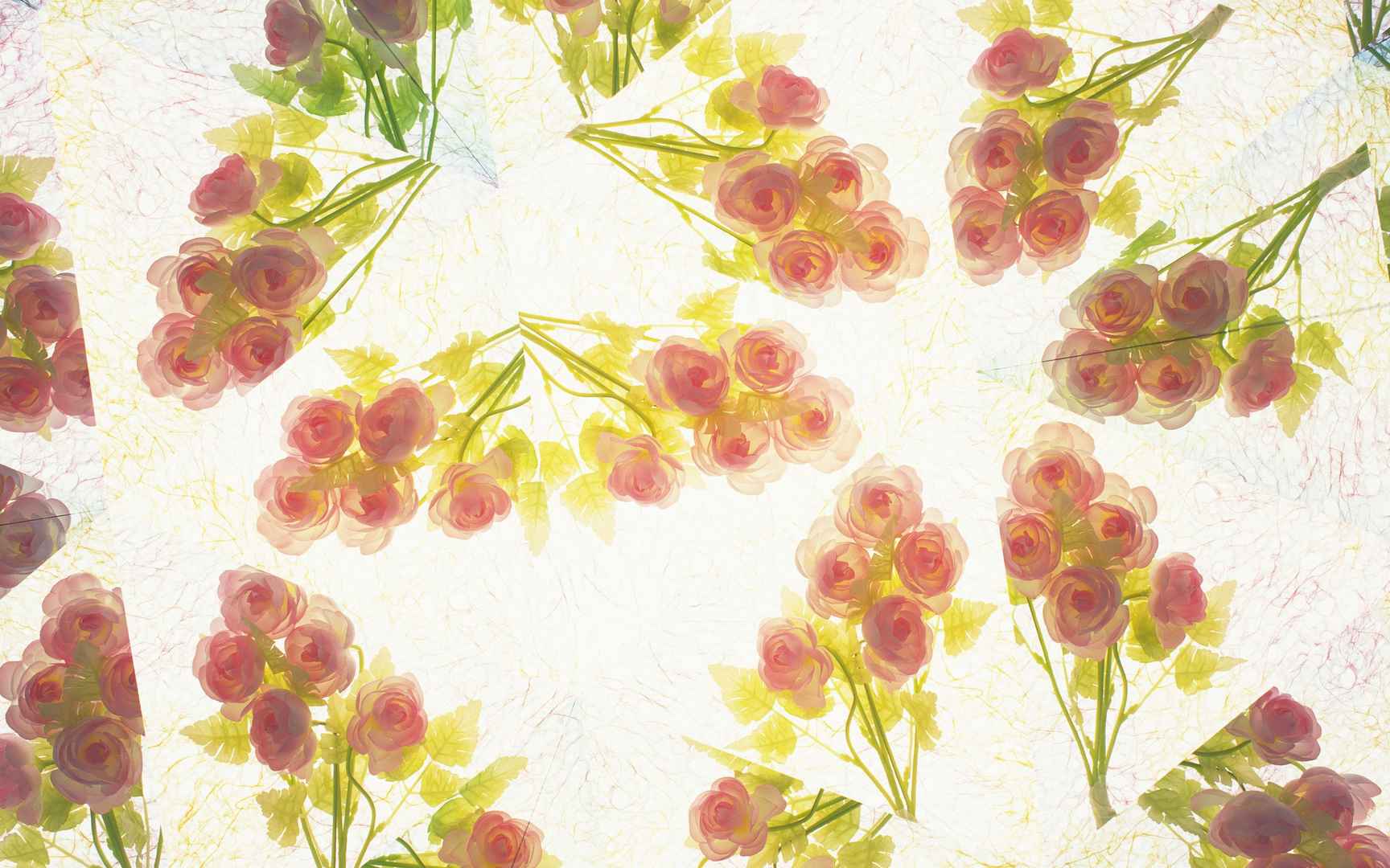 植物花卉背景图片素材