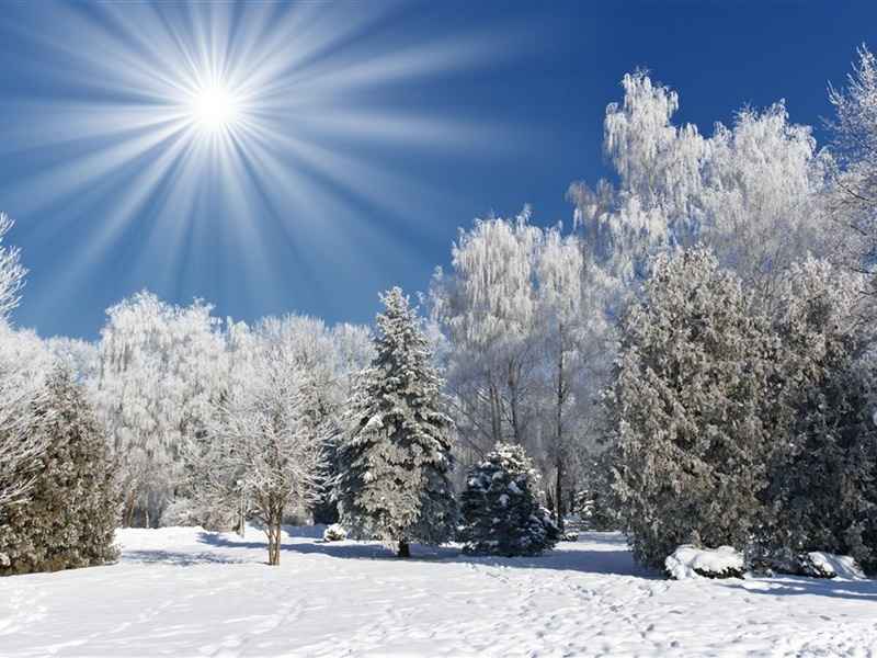 冬天唯美冰雪风景安卓平板壁纸