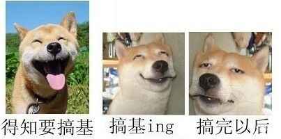 得知要搞基？搞基ing，搞完以后