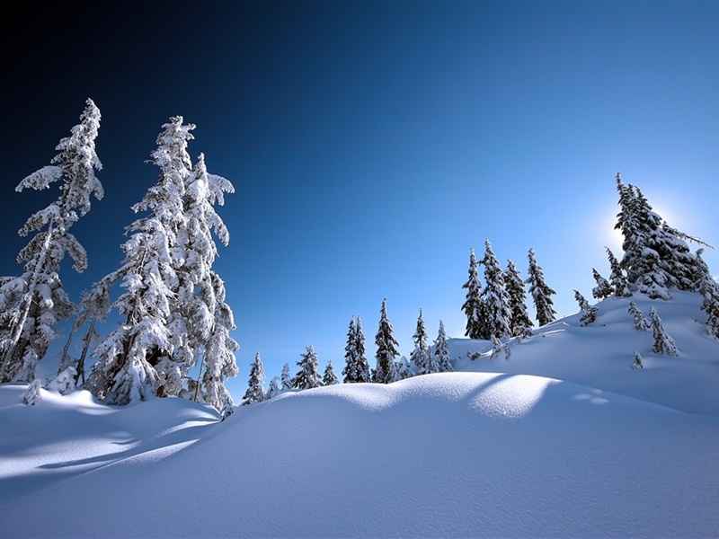 冬天唯美冰雪风景安卓平板壁纸